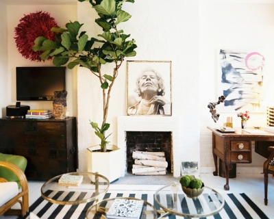 Indoor plants for interiors | a splash of vanilla